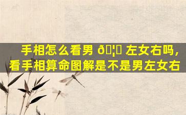 手相怎么看男 🦊 左女右吗,看手相算命图解是不是男左女右